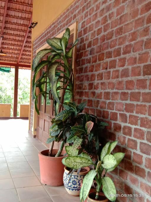 Chinchavli Sohana Eco Retreat Farmhouse - Karjat מראה חיצוני תמונה